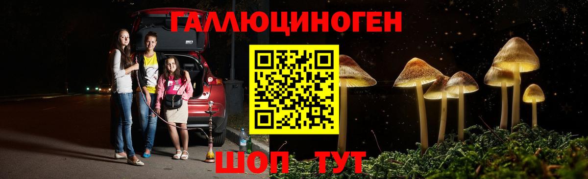 Псилоцибиновые грибы Psilocybe Воскресенск